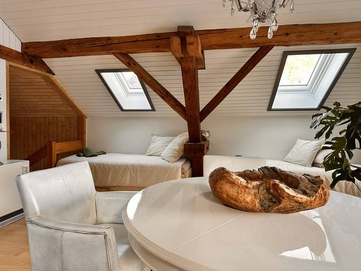 Apartamento entero, Apartamento de vacaciones para 4 personas con jardín in Riedern, Glaris