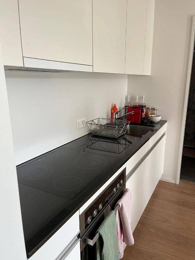 Gîte pour 2 personnes, avec jardin ainsi que balcon et sauna à Fribourg - 2