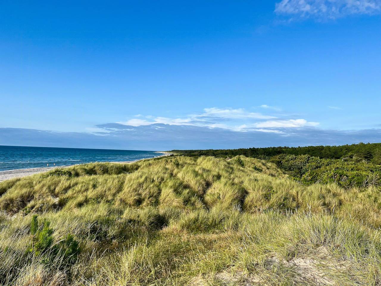 Ferienhaus in der Nähe von Natur und Strand in Rørvig, Nordwestseeland