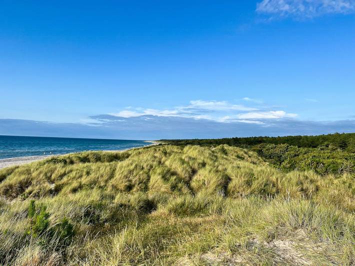 Ferienhaus in der Nähe von Natur und Strand in Rørvig, Nordwestseeland