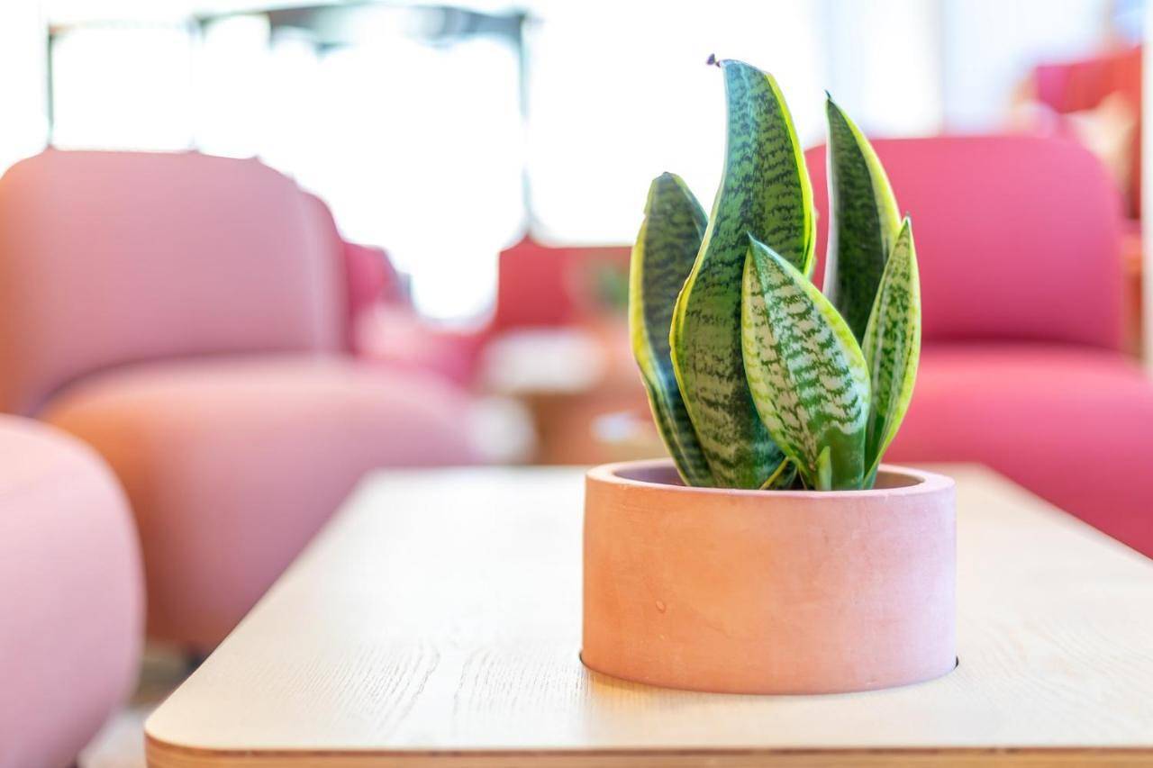 Nido Malvarrosa Hotel - Apartamento in La Malvarrosa, Valencia