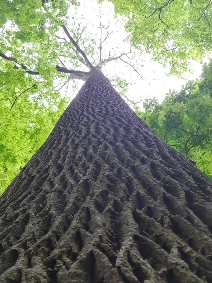 Appartement de vacances pour 2 personnes, avec vue ainsi que piscine et jardin dans Loiret - 3
