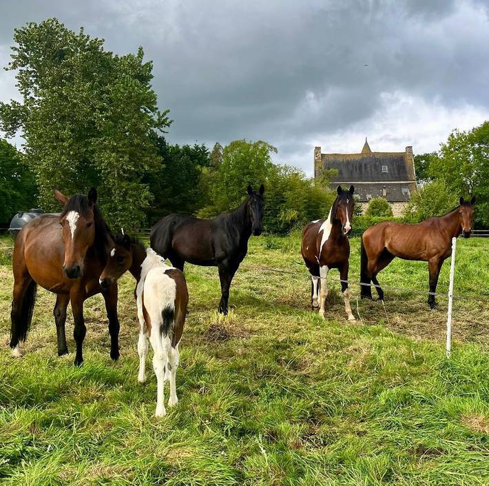 Location de vacances pour 2 personnes, avec piscine et jardin ainsi que vue et terrasse à Plouagat - 4