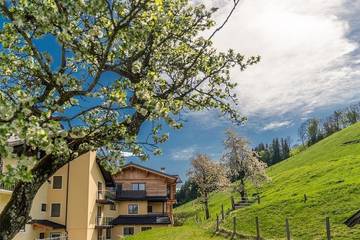 B&b für 8 Personen in Rohrmoos, Schladming und Umgebung, Bild 3