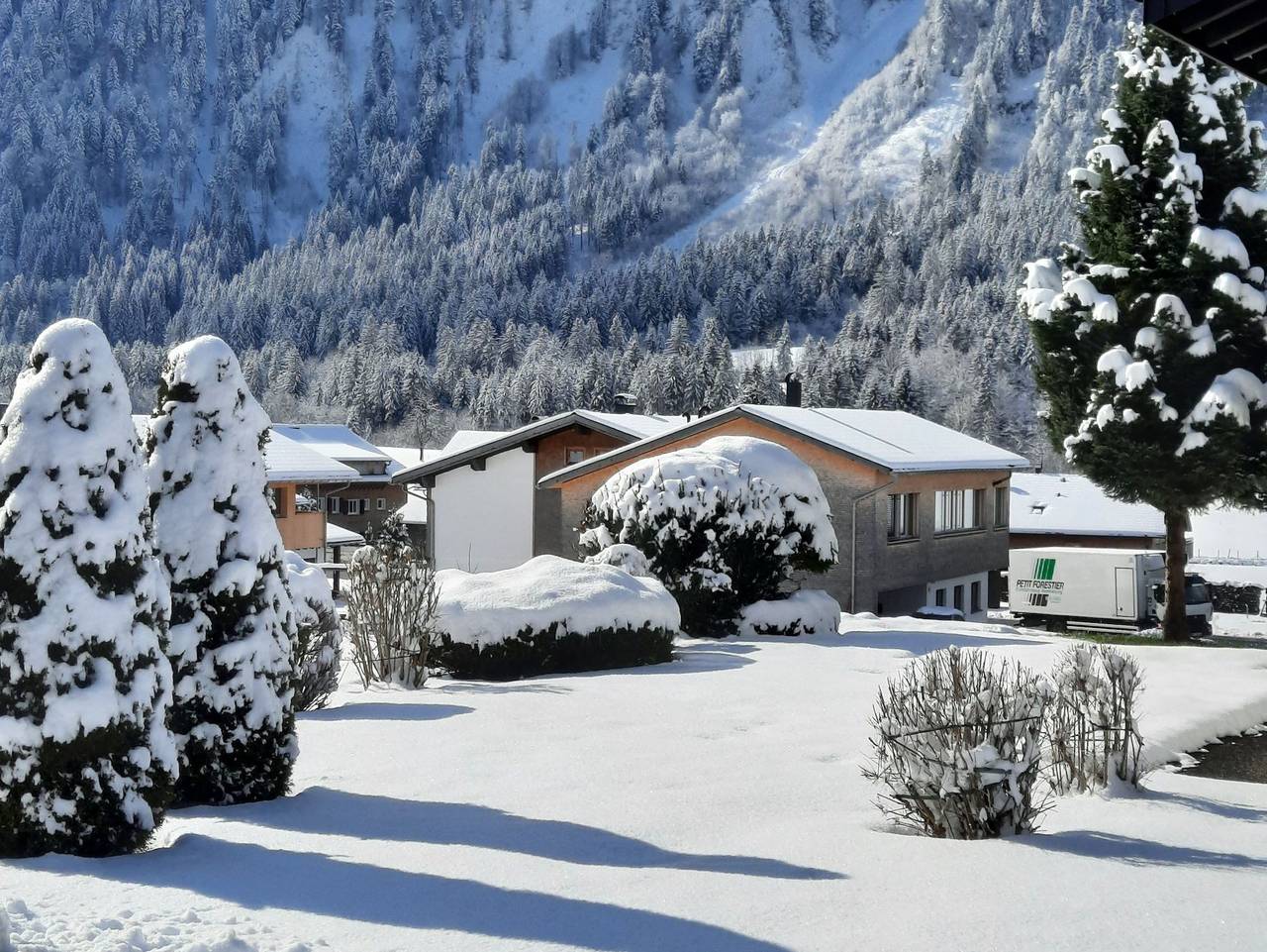 Ganze Ferienwohnung, Ritter Anna - Haus Panorama - Ferienwohnung in Diedamskopf, Schoppernau