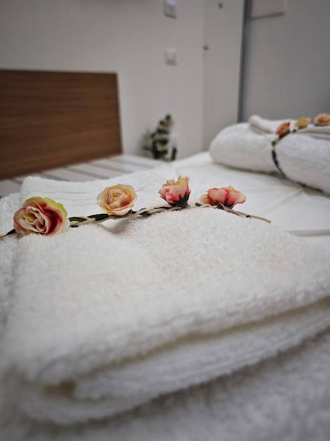 Apartamento de vacaciones para 3 personas, con vistas y jardín - 1