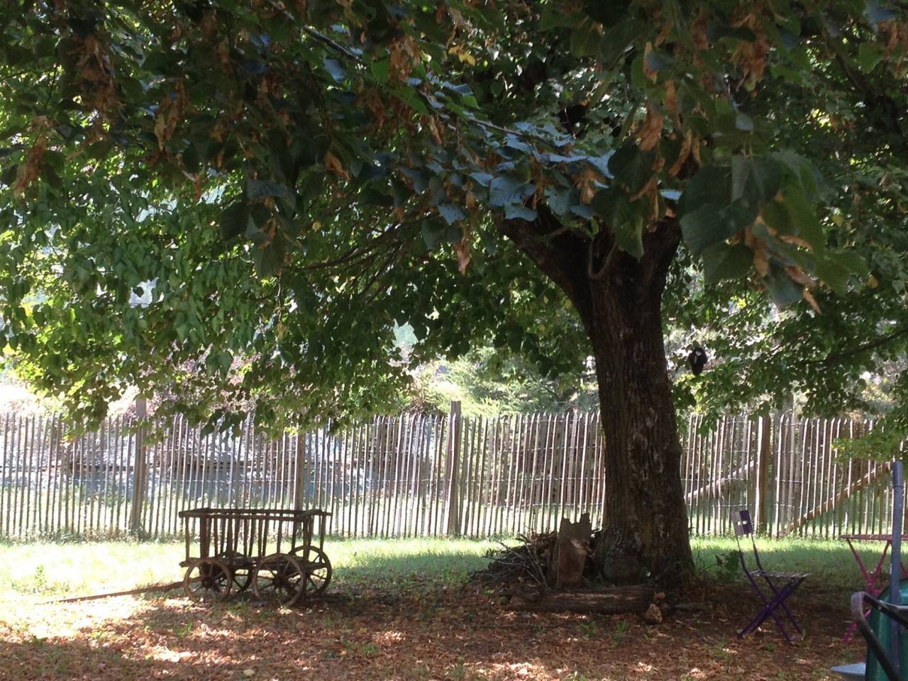 L'Eco-Logis du Clos des Tilleuls : 4 chambres d'hôtes - Le Pas de la Sagatte in Die, Parc naturel régional du Vercors