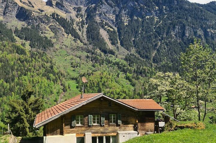 Ferienhaus für 4 Personen, mit Garten, mit Haustier in Grindelwald