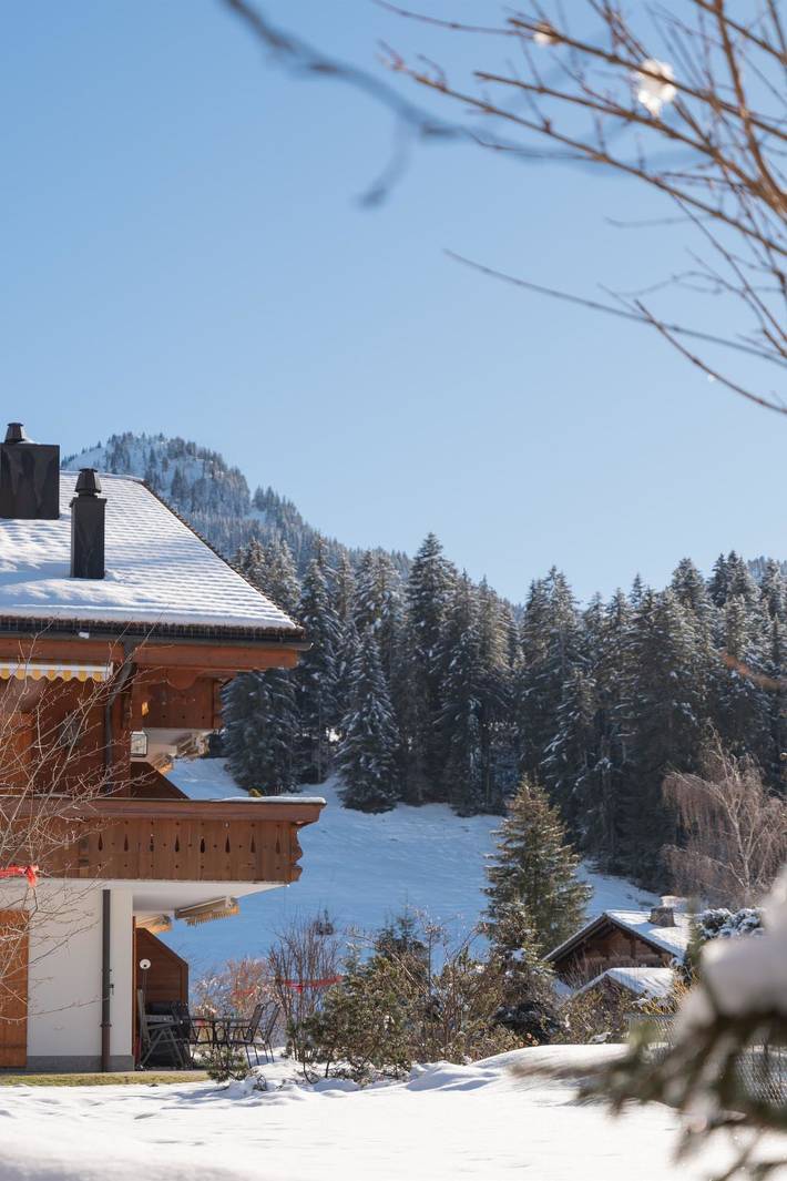 Chalet pour 4 personnes, avec balcon, animaux acceptés à Saanen - 4
