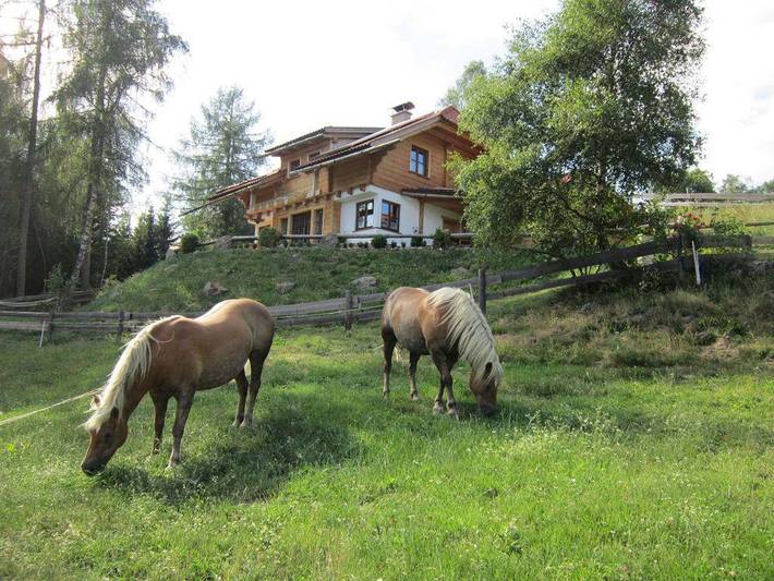 Ganze Ferienwohnung, Hubmoarhütte - Ferienhaus Hubmoarhütte in Sankt Marein bei Neumarkt, Lavanttaler Alpen