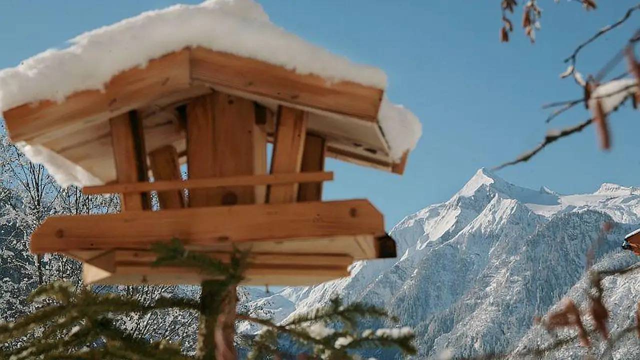 Ganze Ferienwohnung, Ferienwohnung für 2 Personen (35 m²) in Kaprun in Kitzsteinhorn - Kaprun, Kaprun