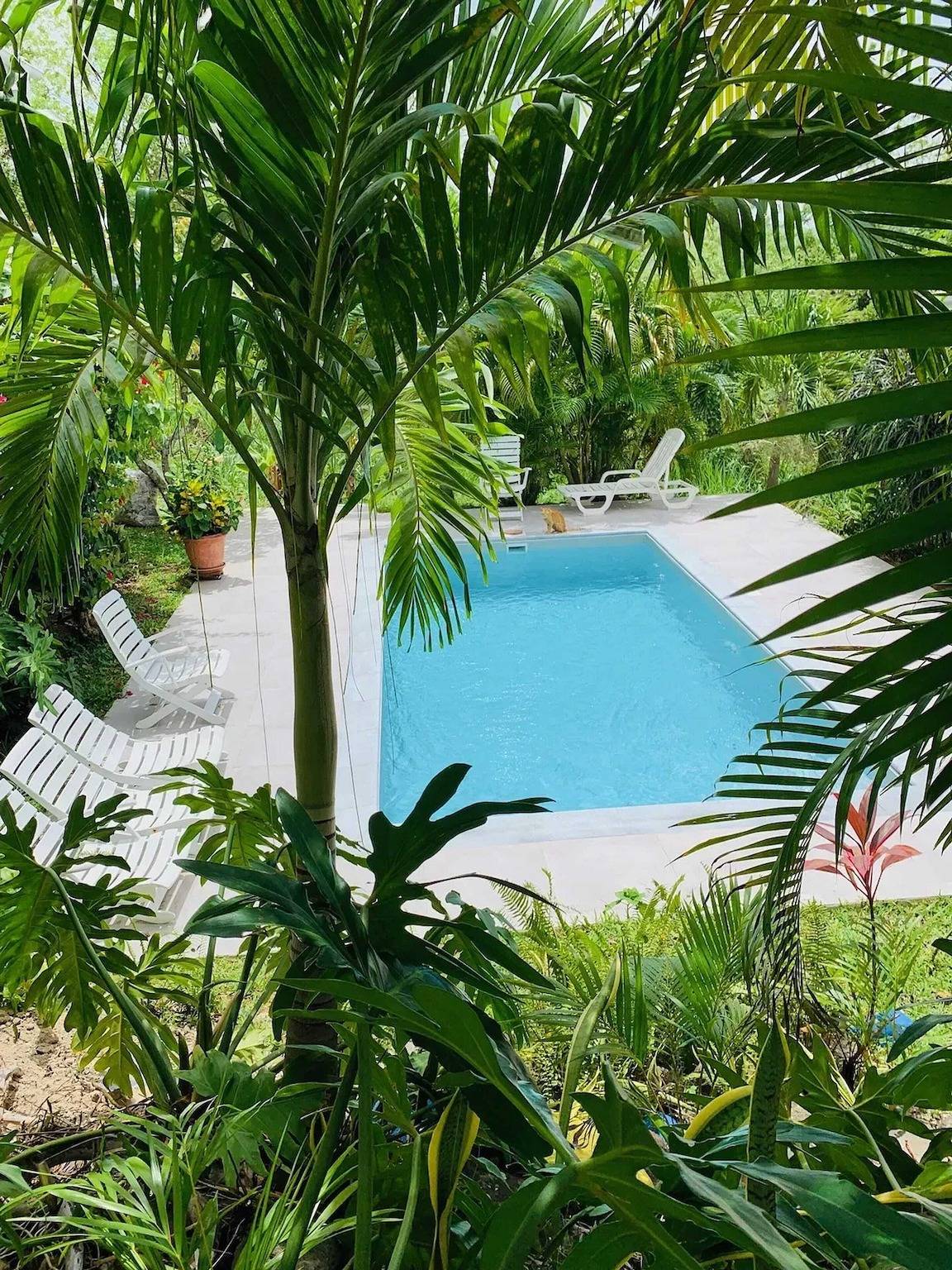 Maison confortable Le Diamant 40 m² avec piscine in Le Diamant, Martinique