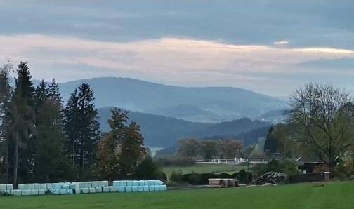 Appartement entier, Ferienhaus Alexandra im Waldferiendorf - Ferienhaus in Regen (Ostbayern), Bavière Orientale