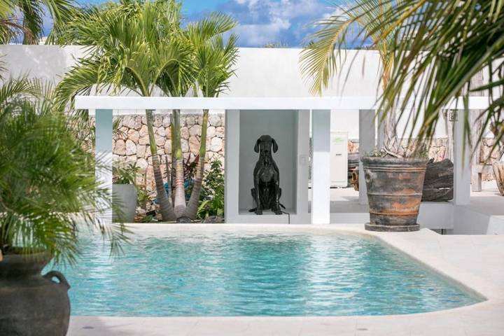 Chambre d’hôte pour 2 personnes, avec piscine et jardin, animaux acceptés dans Saint Martin - 3