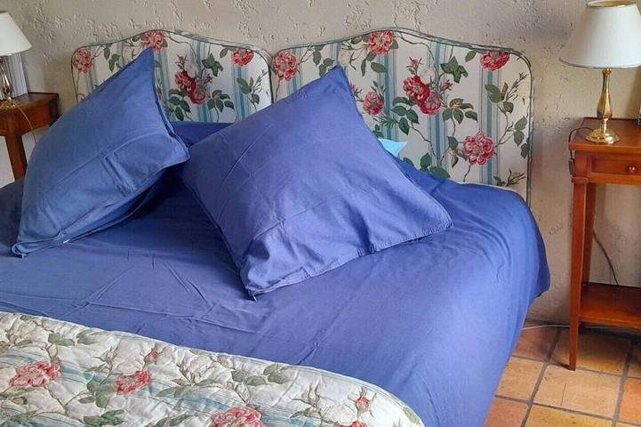 Location de vacances pour 2 personnes, avec piscine et jardin à Chenac-Saint-Seurin-d'Uzet - 2