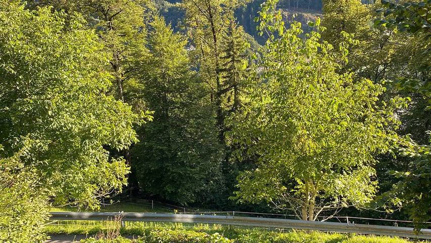 Ferienhaus für 10 Personen, mit Garten, mit Haustier in Schruns-Tschagguns - 4