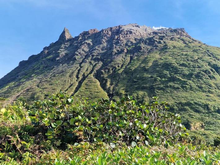 Location de vacances pour 2 personnes, avec jardin à Saint-Claude (Guadeloupe) - 3
