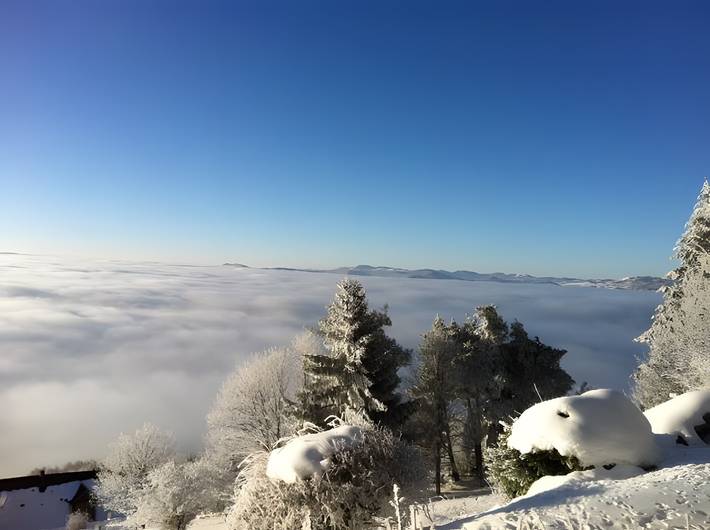 Casa de vacaciones 'La Roulotte Sur Les Nuages' con vistas, terraza y jardín compartidos in Fréland, Parque natural regional de los Ballons des Vosges