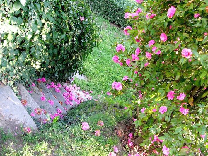 B&b per 3 persone, con Terrazza e Giardino nonché Panorama a Biella
