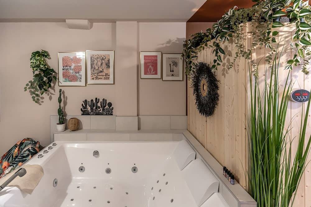 Entire apartment, Murmures Cactus, Spa & Sauna in Blois in Blois, Blois region