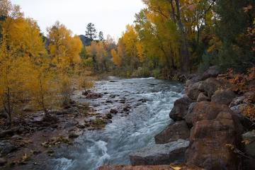 Glamping for 6 Guests in Hermosa, Southwest Colorado, Picture 2
