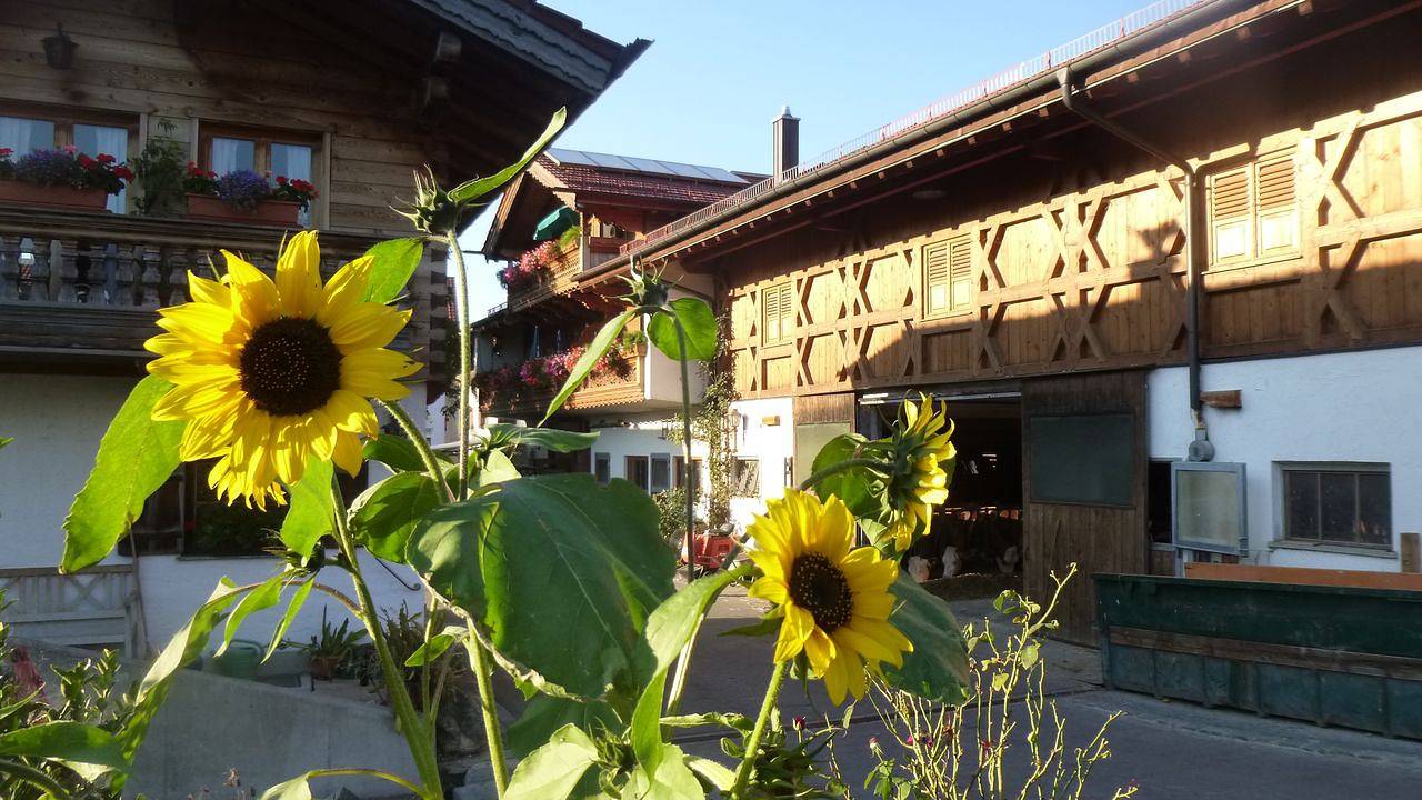 Ganze Ferienwohnung, Ferienwohnung für 5 Personen (80 m²) in Nußdorf am Inn in Nußdorf am Inn, Bayerische Alpen