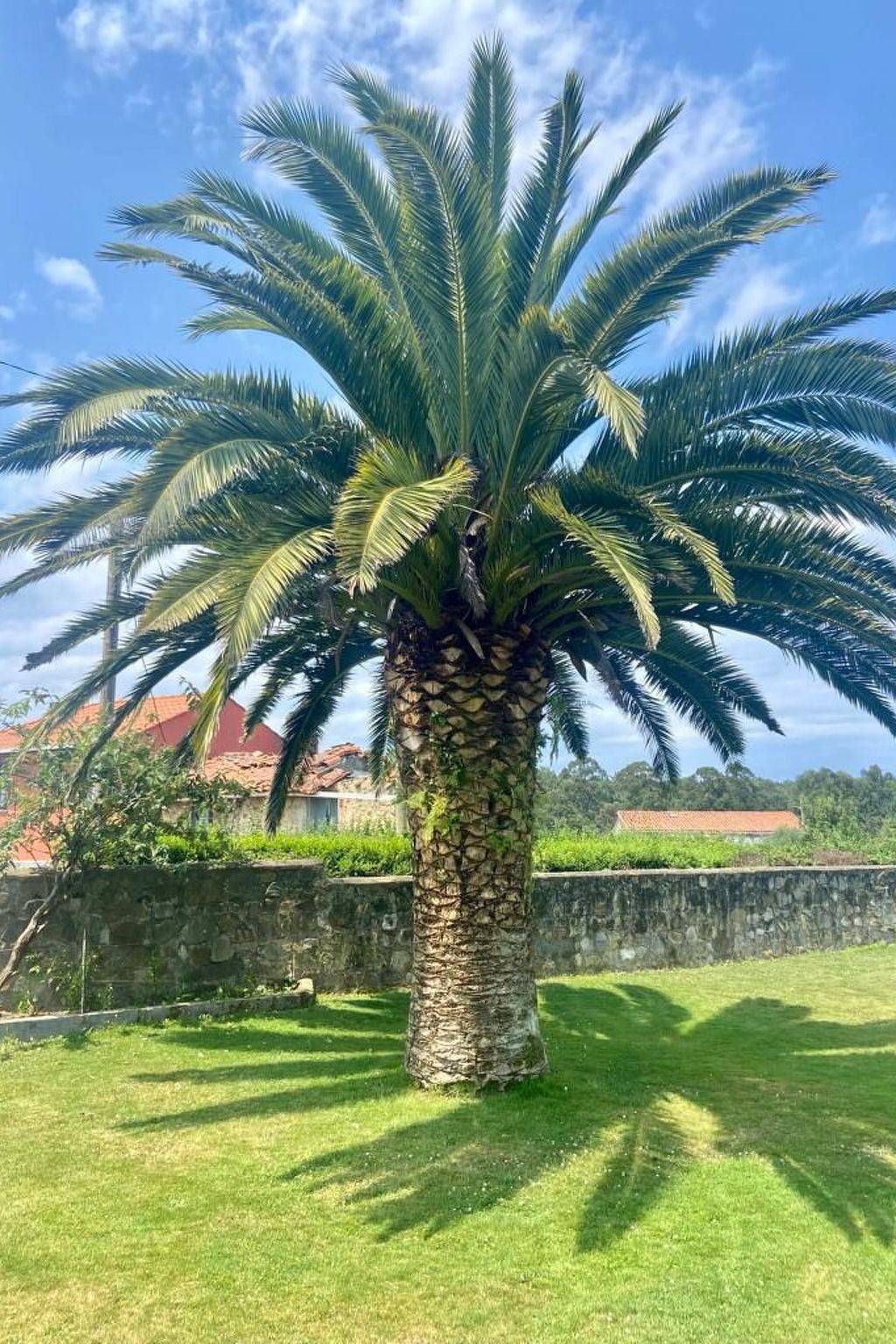 Ländliches Anwesen "Mar y Montaña" (Meer und Berge) in Lamuño, Cudillero