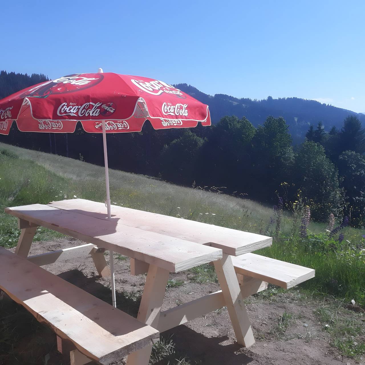 Chalet La Capite à Véro – Gezellig Savoyaards chalet met uitzicht op de bergen in Les Gets, Les Portes du Soleil