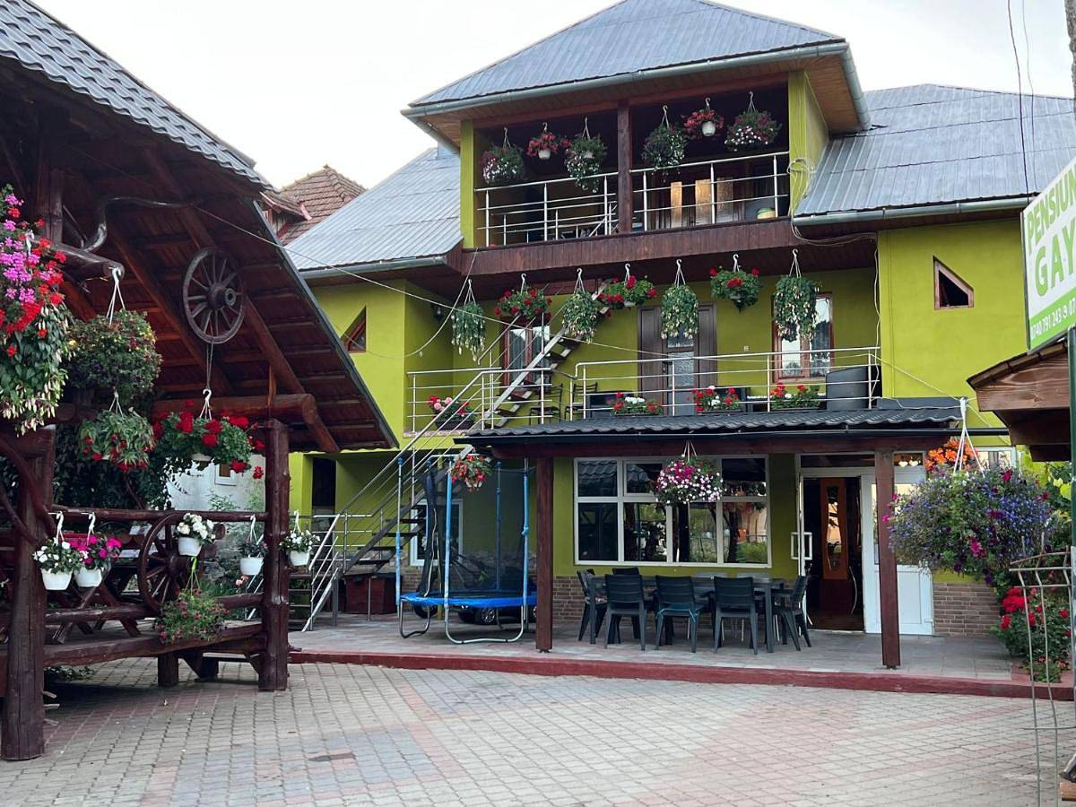 Pensiunea Gaiu in Albac