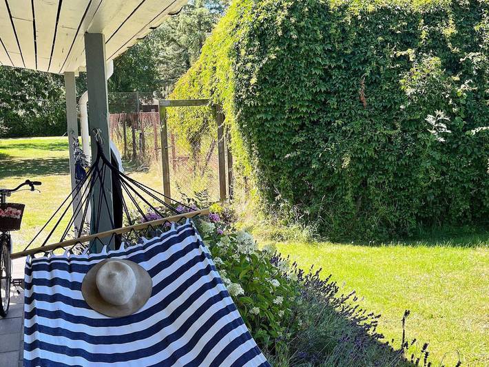 Ferienhaus für 6 Personen, mit Terrasse, kinderfreundlich in Dannemare - 4