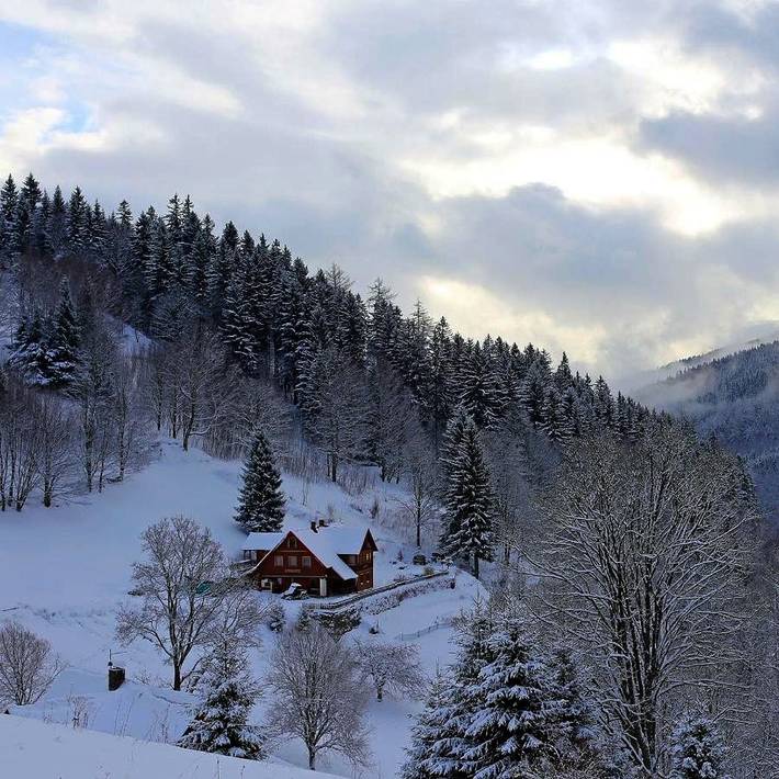 BnB für 4 Personen, mit Terrasse und Ausblick sowie Garten und Pool, mit Haustier in Tschechien - 2