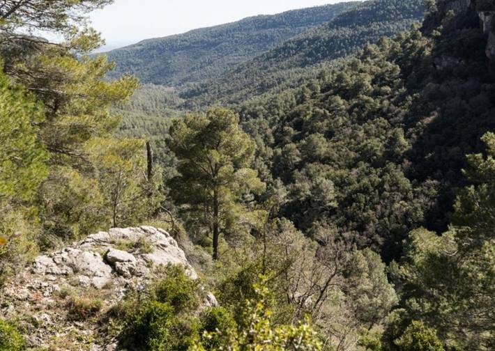 Camping pour 2 personnes, avec piscine et vue ainsi que jardin et sauna dans Province d'Alicante - 4