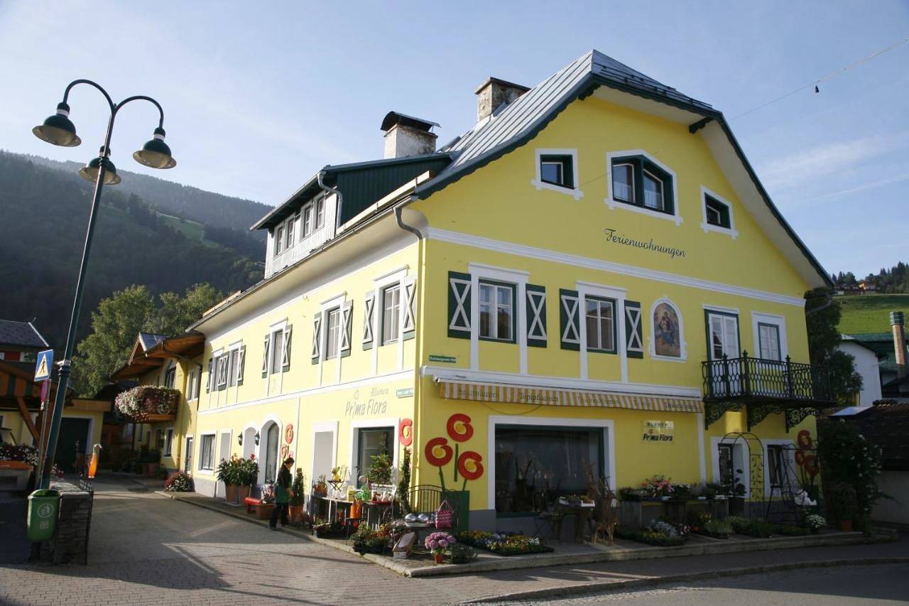 Ganze Wohnung, Ferienappartement Royer in Schladming, Schladming-Dachstein