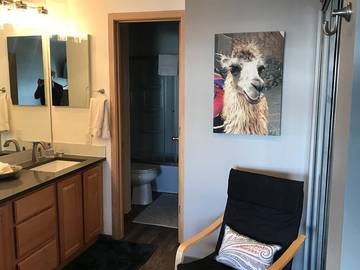 Apartment for 8 Guests in Frisco, Arapaho National Forest, Picture 3