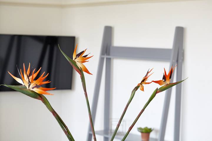 Location de vacances pour 4 personnes à Bristol - 3