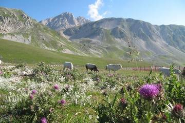 Gîte pour 4 personnes à Montebello di Bertona