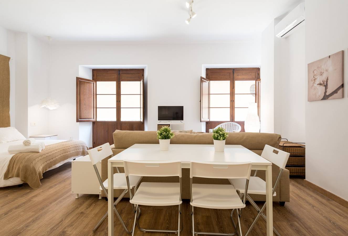 Entire studio, Studio for 4 people with balcony in Malaga Centro Historico, Malaga