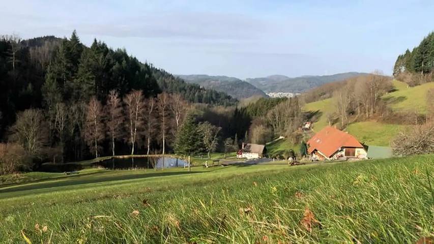 Ferienwohnung für 3 Personen, mit Balkon und Garten in Suedlicher Schwarzwald - 4
