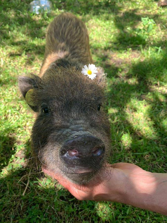 B&b per 4 persone, con panorama e giardino a Gubbio