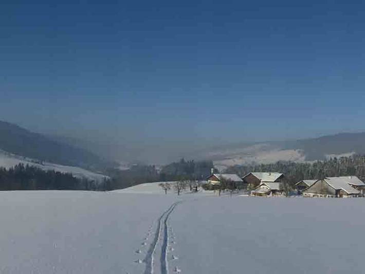 Ferienhaus für 4 Personen, mit Garten am Mondsee
