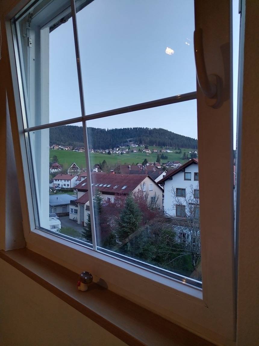 Ganze Ferienwohnung, Ferienwohnung Bergmosisblick in Mitteltal, Baiersbronn