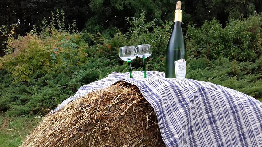 Chalet pour 4 personnes, avec jardin et terrasse, animaux acceptés en Alsace - 4