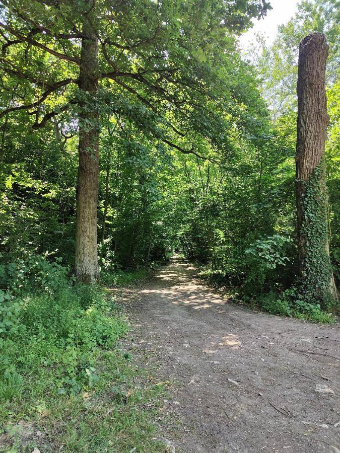 Location de vacances pour 4 personnes, avec jardin et vue à Noisy-le-Grand - 2