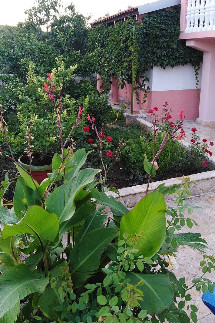 Ganze Wohnung, 2-Zimmer-Ferienwohnung mit Terrasse und Meerblick Kraj, Pasman A-819-a in Kraj, Pasman