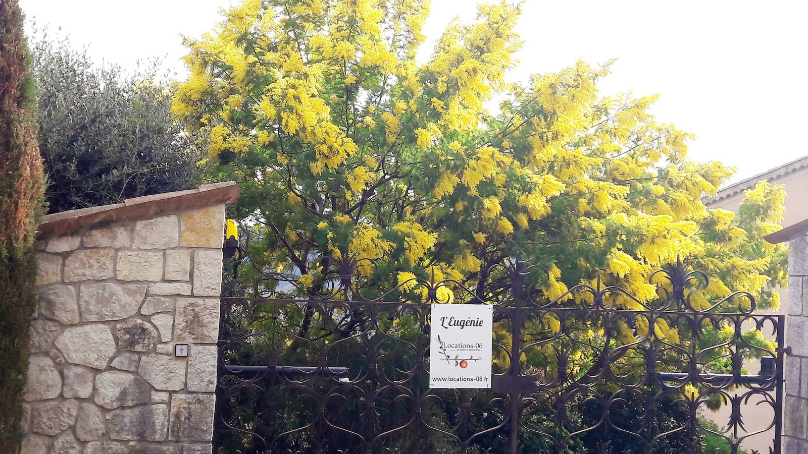 4 Sterne Ferienwohnung in Agriturismo 800 m vom Dorf 30 Minuten in Le Bar-sur-Loup, Cannes und Umgebung