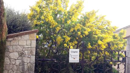 Agriturismo per 8 Persone in Le Bar-sur-Loup, Cannes e dintorni, Foto 4