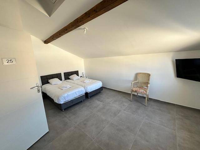 Gîte pour 10 personnes, avec terrasse à Satolas-et-Bonce - 4