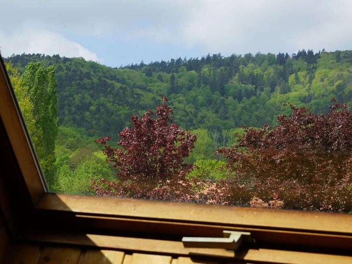 Location de vacances pour 8 personnes, avec jardin à Cleebourg - 3