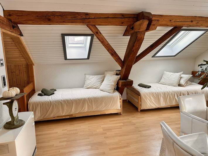 Apartamento entero, Apartamento de vacaciones para 4 personas con jardín in Riedern, Glaris