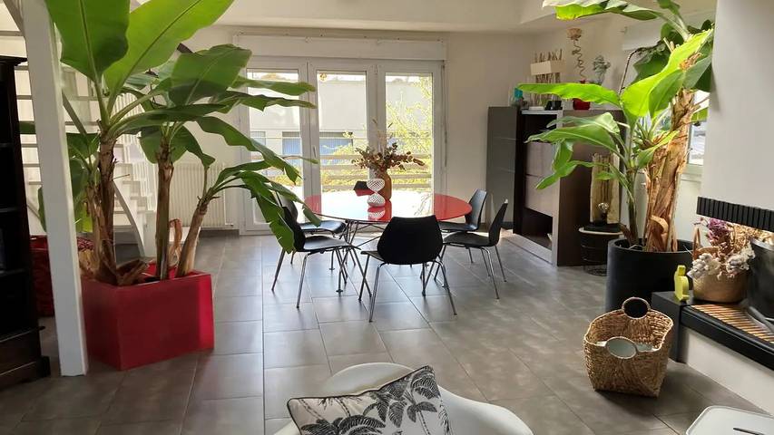 Location de vacances pour 6 personnes, avec jardin, animaux acceptés dans Saint-Brieuc - 4
